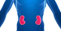 Kidney Disease and Applying for Life Insurance